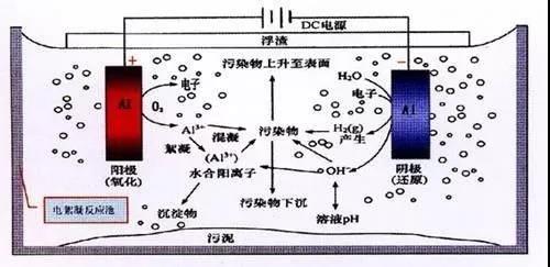 我買了一個甲醛檢測儀，吹口氣后發(fā)現(xiàn)原來我才是“地表最強”污染源！