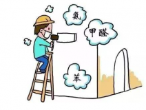 去甲醛具體有哪些方法呢？