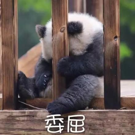 別大意！七大除甲醛“誤區”，信了你反而會生??！通風、綠植、活性炭、熏蒸……你中招了嗎？