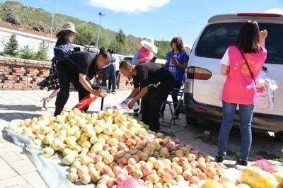 千畝葵花扮靚最美榆林 農(nóng)副土特產(chǎn)品的生態(tài)與經(jīng)濟交響曲